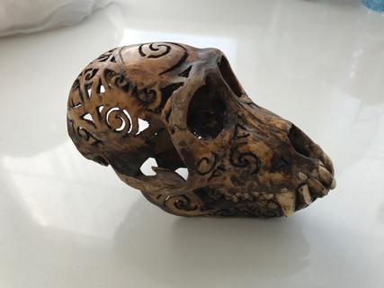 Indonesian carved skull